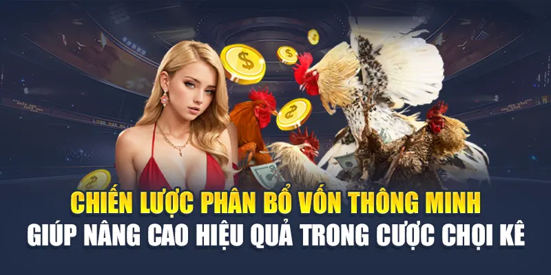 Khám Phá Cược Đá Gà Tỷ Lệ Hấp Dẫn Tại Nhà Cái 78WIN 7 Chiến lược phân bổ vốn thông minh giúp nâng cao hiệu quả trong cược chọi kê